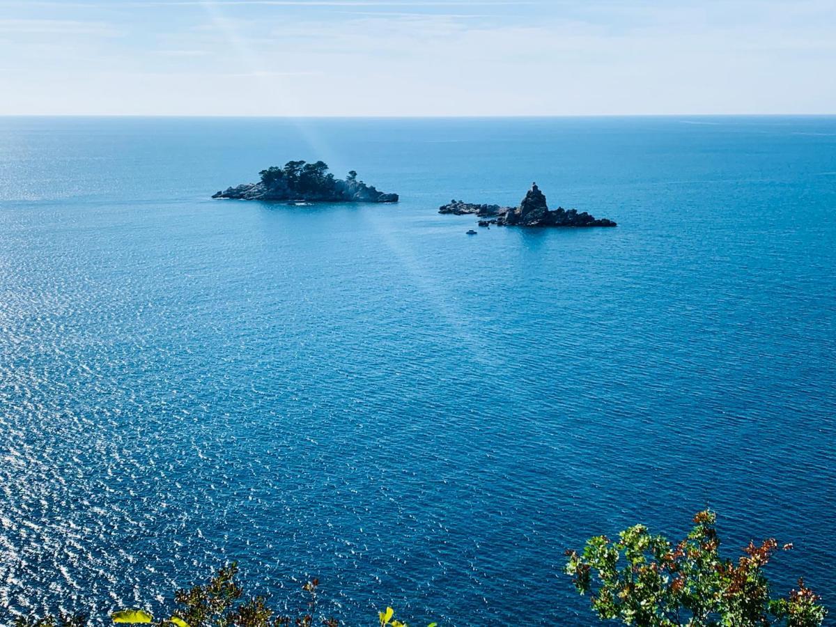 Best View Apartment Petrovac Bagian luar foto