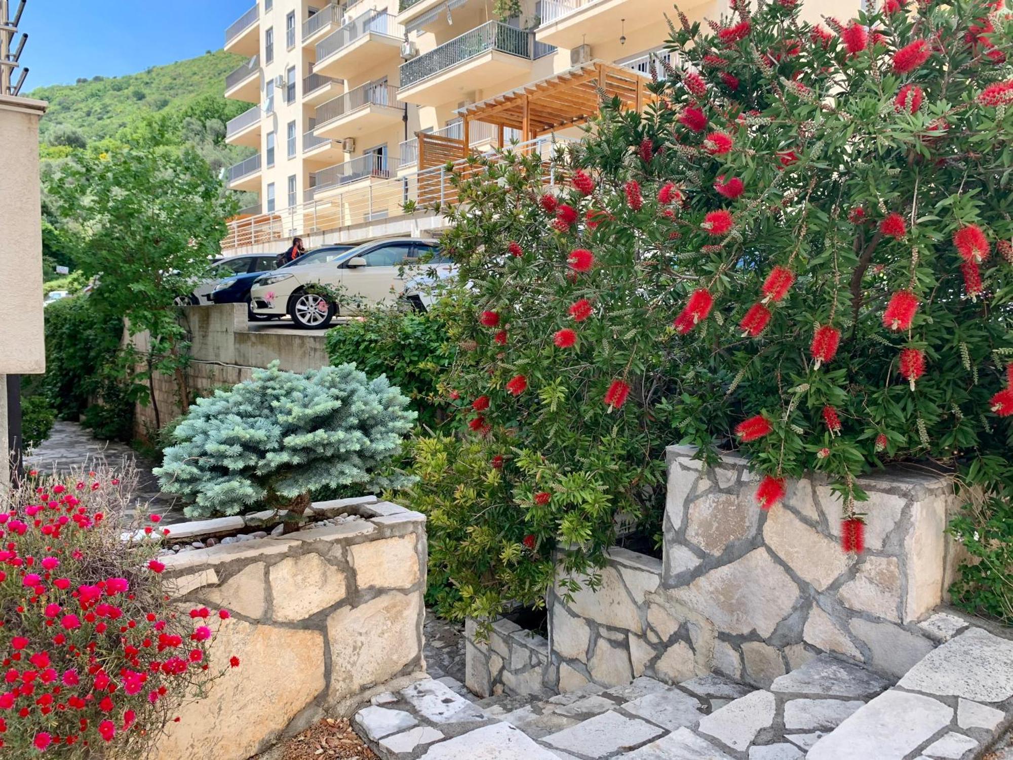 Best View Apartment Petrovac Bagian luar foto